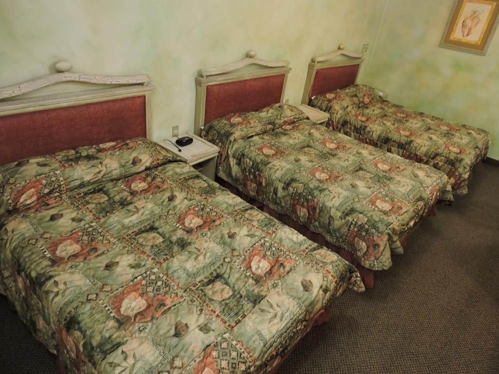 סן חואן דה לוס לאגוס Hotel Quinta Cesar מראה חיצוני תמונה